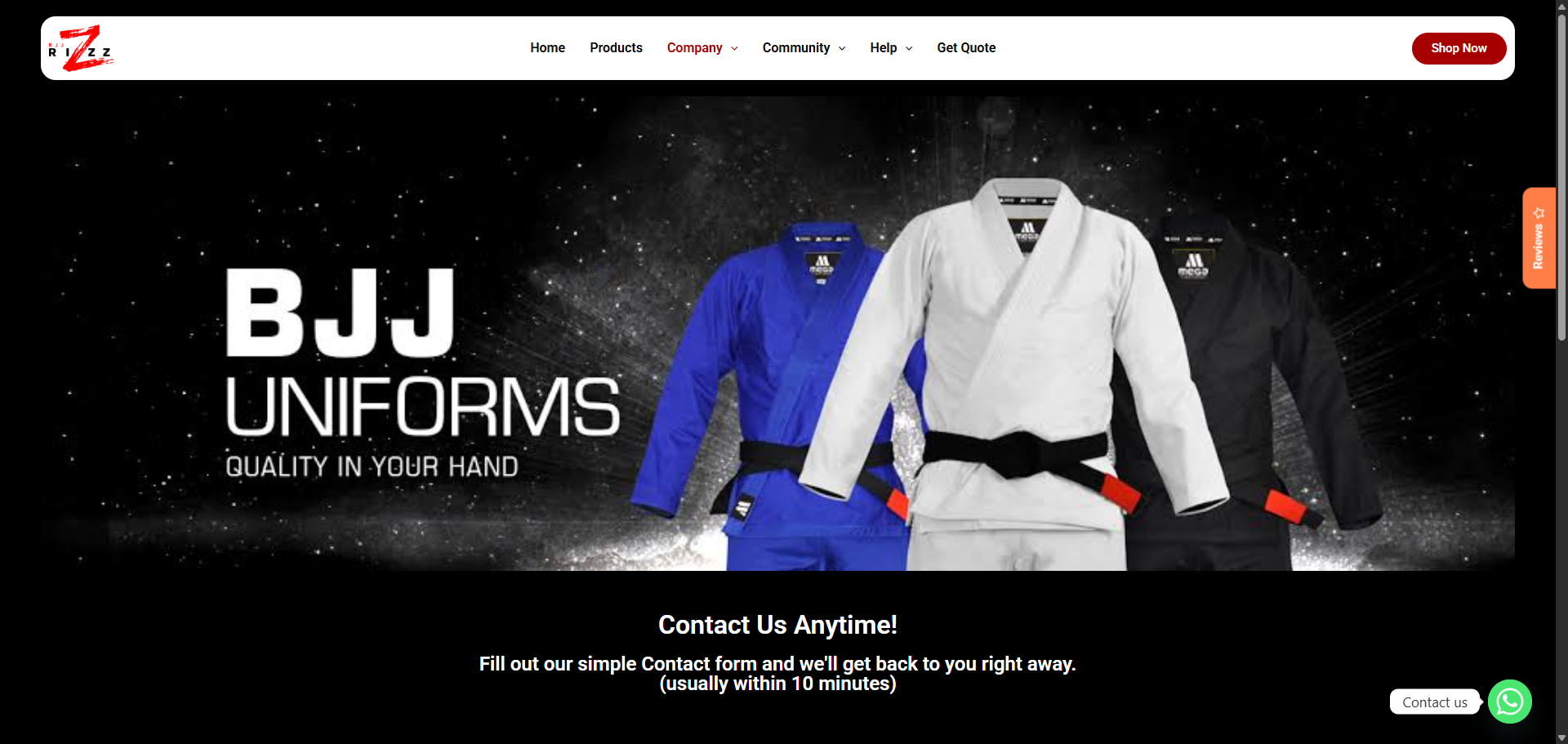 BJJ Rizz website screenshot